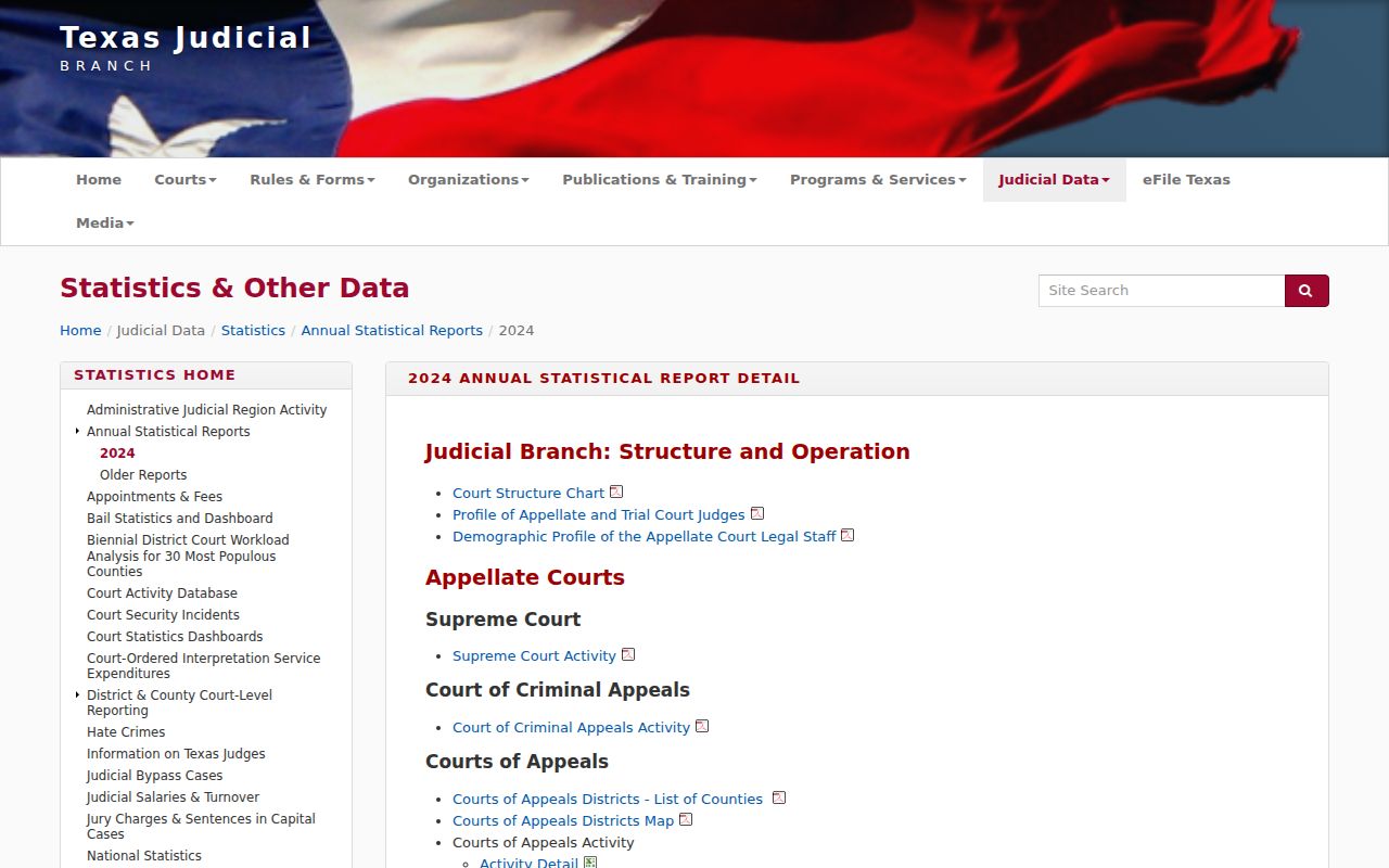 Glasscock County criminal docket annual report index